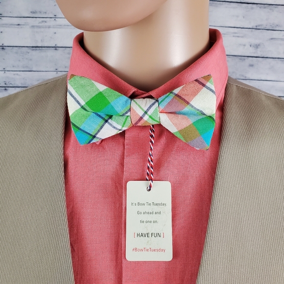 Bow Tie Tuesday Cream Pink Blue Green Pastel Tie - Picture 2 of 7